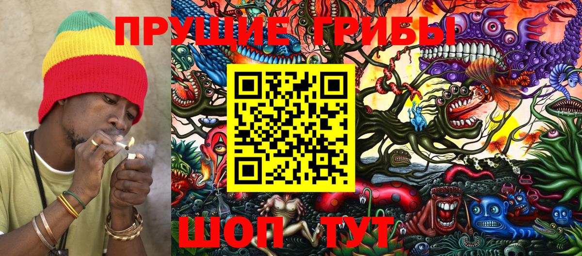 Кизляр  Псилоцибиновые грибы Psilocybine cubensis  Вход с VPN  Галлюциногенные грибы Psilocybine cubensis 