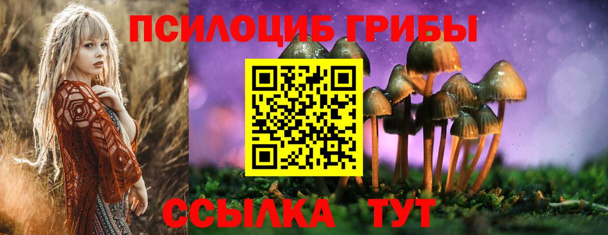 Галлюциногенные грибы GOLDEN TEACHER Кизляр